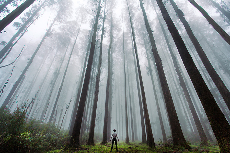 Photographer of the Year: Featured Portfolio #9
