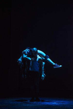 Adelaide College of the Arts: The Emotional Rationalist 