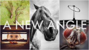 August photo comp: The wrap-up!