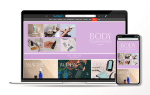 SurfStitch moves into booming $6.5 billion market 