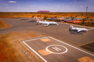 AP's free monthly photo comp September 2025 'Things that fly': The Winners!