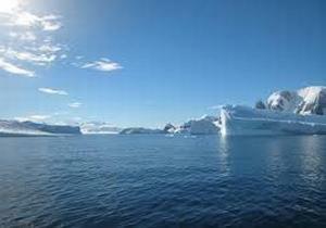 Sea struggles to absorb carbon dioxide