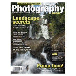 January AP Out Now!
