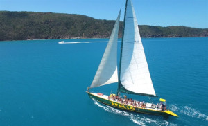 Apollo Adventure Sailing is for sale