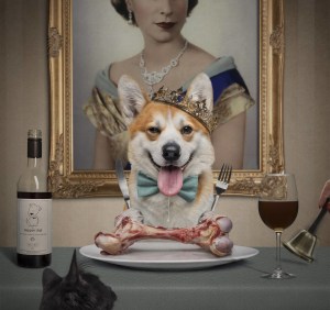 Australia's best professional photographers announced