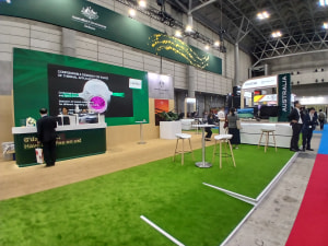 DSEI Japan 2025: Bigger than ever 