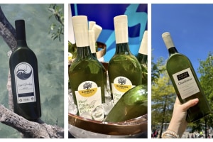 Packamama secures $1m grant for circular wine bottle