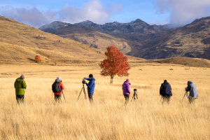 Sharpen Your Photography Skills in New Zealand’s South Island