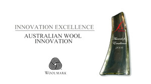 FGI Awards for Excellence - INNOVATION EXCELLENCE WINNER: AWI