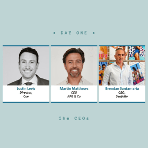 WATCH NOW: Cue, Seafolly, APG & Co reveal the future of retail