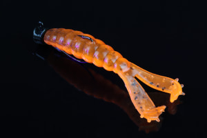 ZMan 3 inch Baby GOAT