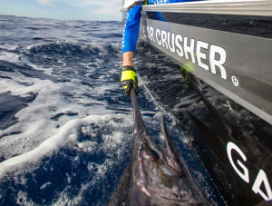 Bar Crusher: School's in for summer!