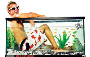 What's Selling in Avalon