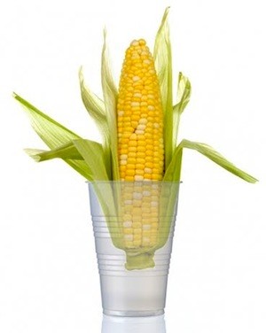 Bioplastics. Get the whole picture.