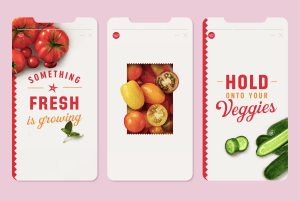 Perfection Fresh refreshes packaging portfolio