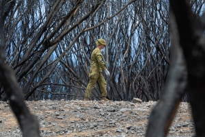 Defence-funded study outlines climate risk to national security