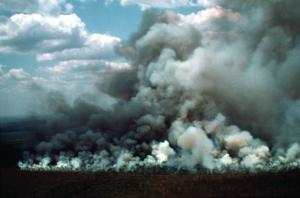 Bushfire threat to evaps