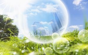 International business plan for sustainability