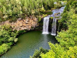Work begins on Dorrigo Great Escarpment Walk
