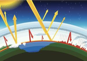 Carbon tax showdown set for December 2