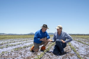 Cotton industry tackles textile waste in new phase