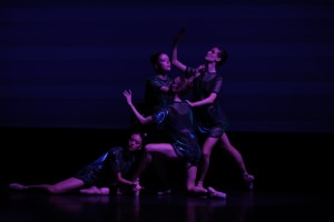 Dancing on Dry Ground: Claire Voss’s Signal-30