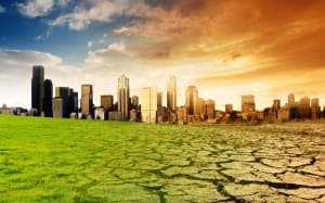 Government releases terms of reference for climate change review