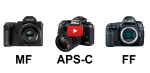 Video: Crop, full frame, and medium format. Can you tell the difference?