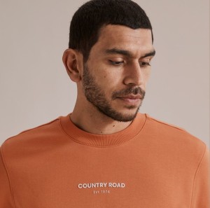The 3 factors driving growth at David Jones and Country Road Group