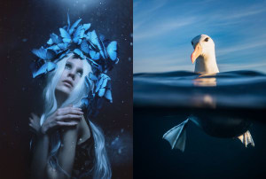 Who won our August 'Blue' photo comp?