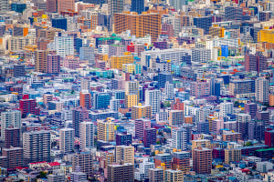 AP's free monthly photo comp October 2025: The winners!