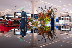 David Jones and Country Road report sales growth