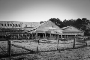 Corrugated Cathedrals passion project showcases Australian farming life