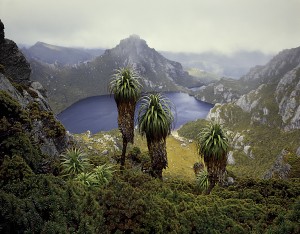 Peter Dombrovskis and Katrin Koenning exhibitions hit Melbourne
