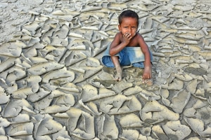 Environmental Photographer of the Year comp opens for entries