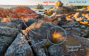 Get a free image critique with the Image Doctor