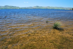 Reciprocal licences for Lake Hume