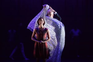 Expressions Dance Company: Everyday Requiem