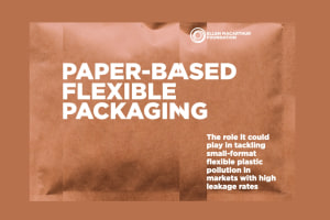 Paper-based flexibles: Promise with caveats