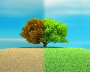 Solar 2015 supports energy storage