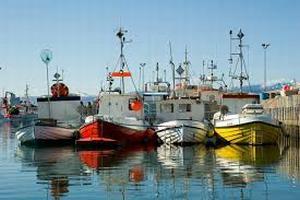 Fishing fleet to replace R22 equipment
