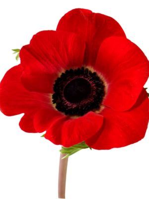 App for Aussie war memorials