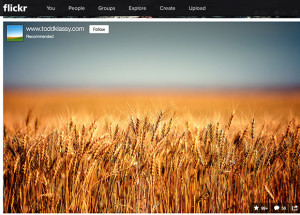 iPhone and Canon Lead Flickr's 'Most Popular' Lists