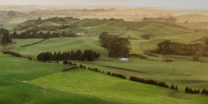 Fonterra defers FY19 reporting date