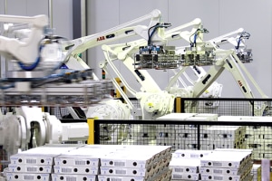 Playing Tetris with robots and cartons at AUSPACK