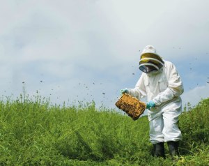 New challenges, increased demands: FSANZ 