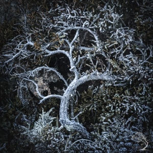 Australian Photographer wins Natural Landscape Photography Awards