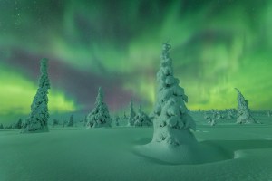 Northern Lights Photographer of the Year crowns winners