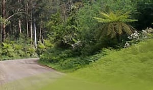  NT Indigenous communities supported to create forestry industry