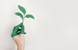 Australian cotton: how it&rsquo;s improved and what it can do better 